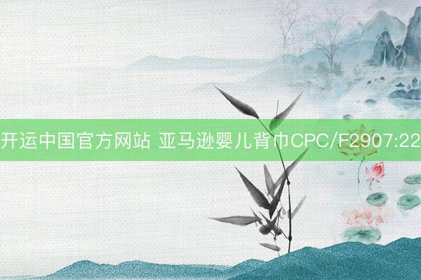 开运中国官方网站 亚马逊婴儿背巾CPC/F2907:22