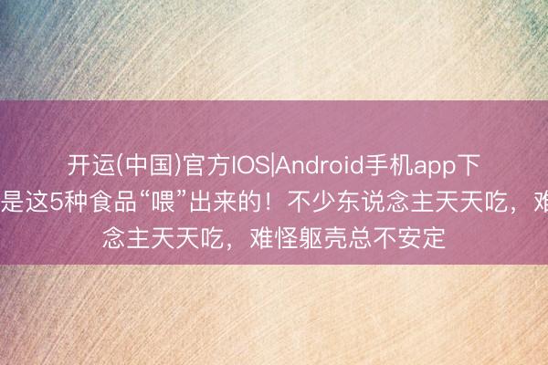 开运(中国)官方IOS|Android手机app下载 好多结石，齐是这5种食品“喂”出来的！不少东说念主天天吃，难怪躯壳总不安定