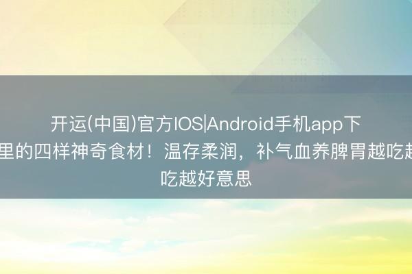 开运(中国)官方IOS|Android手机app下载 厨房里的四样神奇食材！温存柔润，补气血养脾胃越吃越好意思
