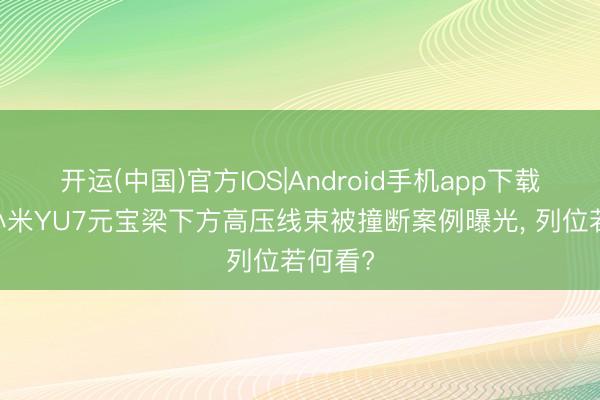 开运(中国)官方IOS|Android手机app下载 首例小米YU7元宝梁下方高压线束被撞断案例曝光， 列位若何看?