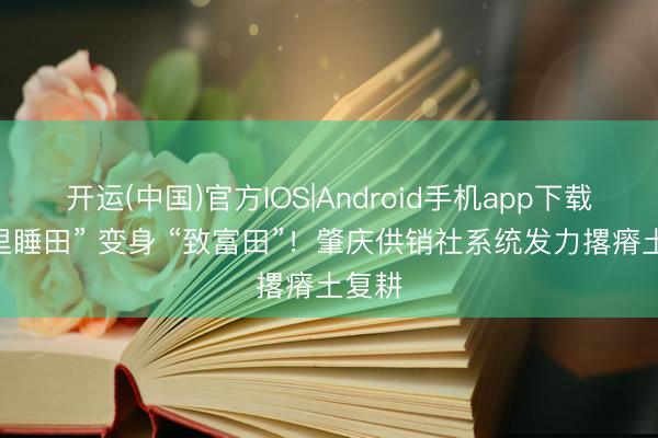 开运(中国)官方IOS|Android手机app下载 “千里睡田” 变身 “致富田”！肇庆供销社系统发力撂瘠土复耕